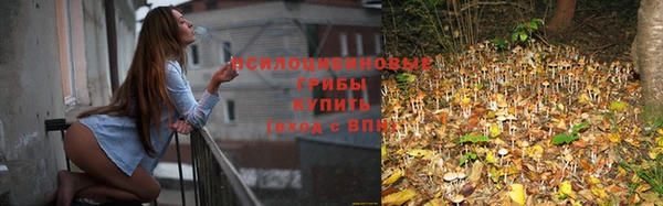 а пвп мука Мегион
