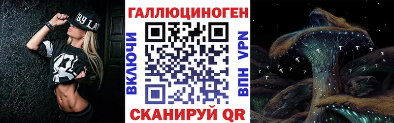 сколько стоит  Дмитриев  Псилоцибиновые грибы мицелий 