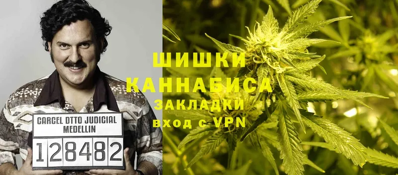 Бошки Шишки THC 21%  купить закладку  Дмитриев 